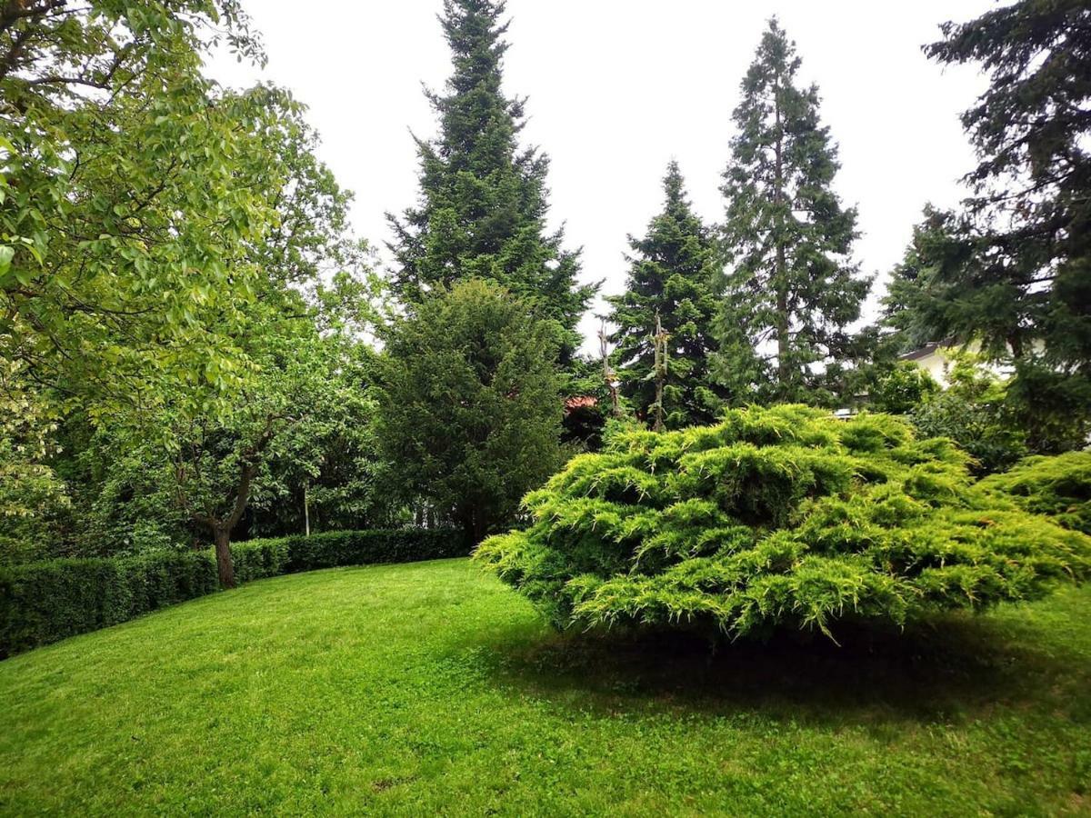 Casa Carla, Immersa Nel Verde Dei Colli Bolognesi Сасо Маркони Екстериор снимка